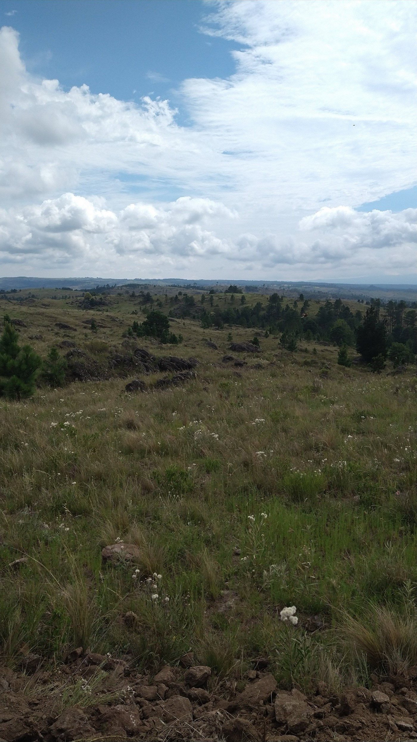 Lote 3 · vista al valle desde la parcela
